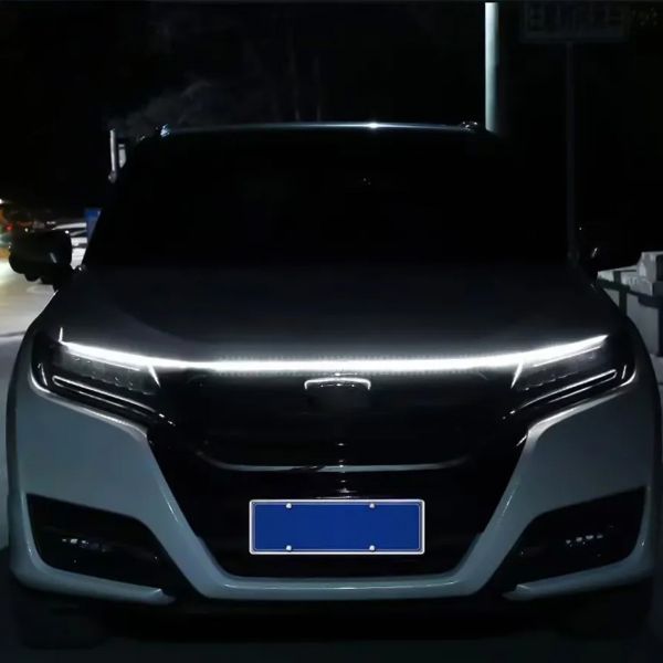 ZXL11 Accent & Landscape Light | HK Lighting